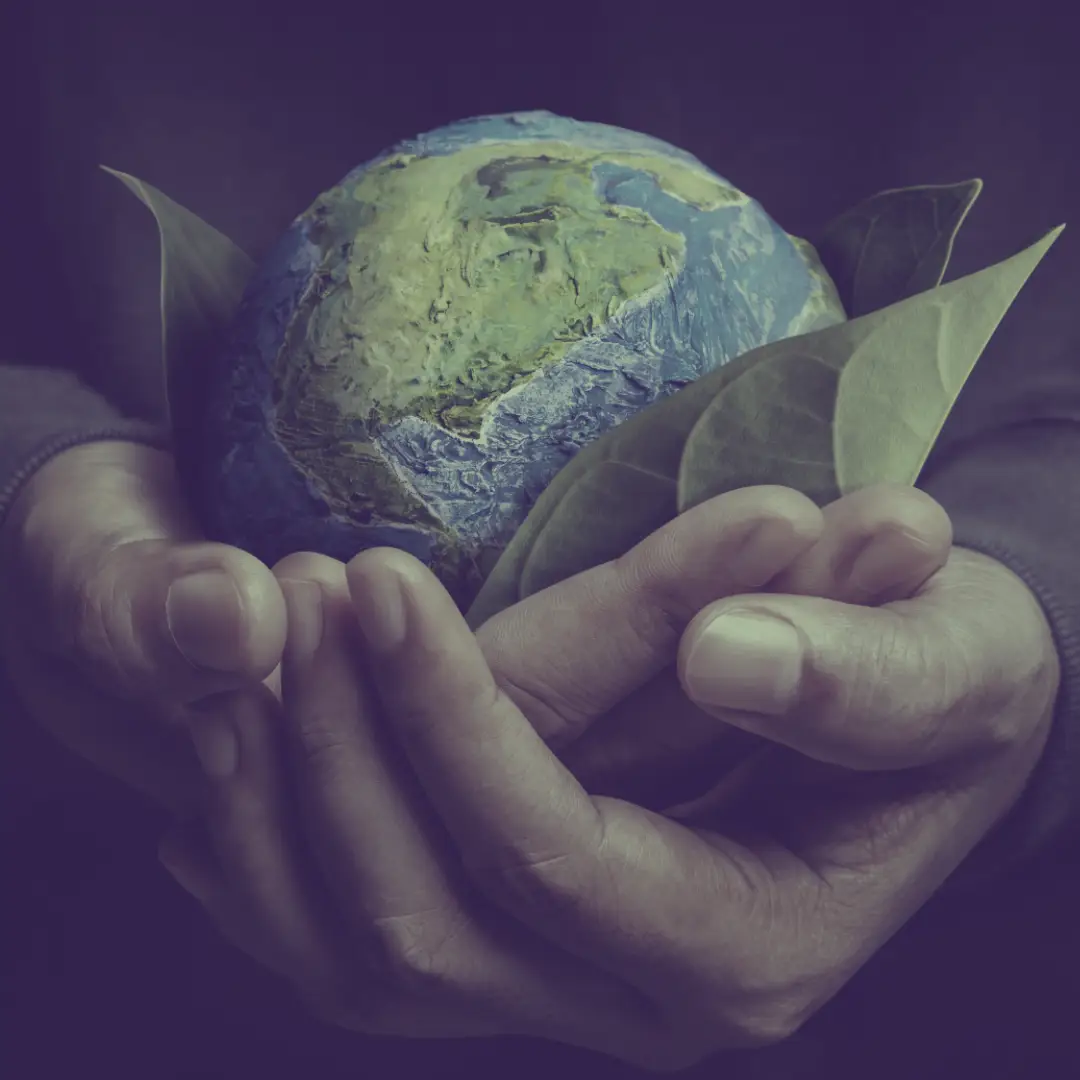 تصميم بدون عنوان 12 - Rouh Media